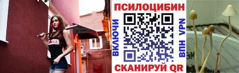 Псилоцибиновые грибы GOLDEN TEACHER  наркошоп  Тюкалинск 